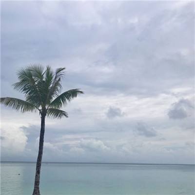 弗拉德和尼基超级市场儿童游戏下载
