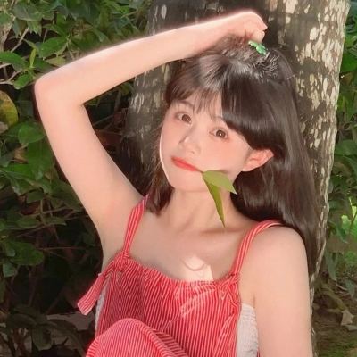 我曾是冒险者手游